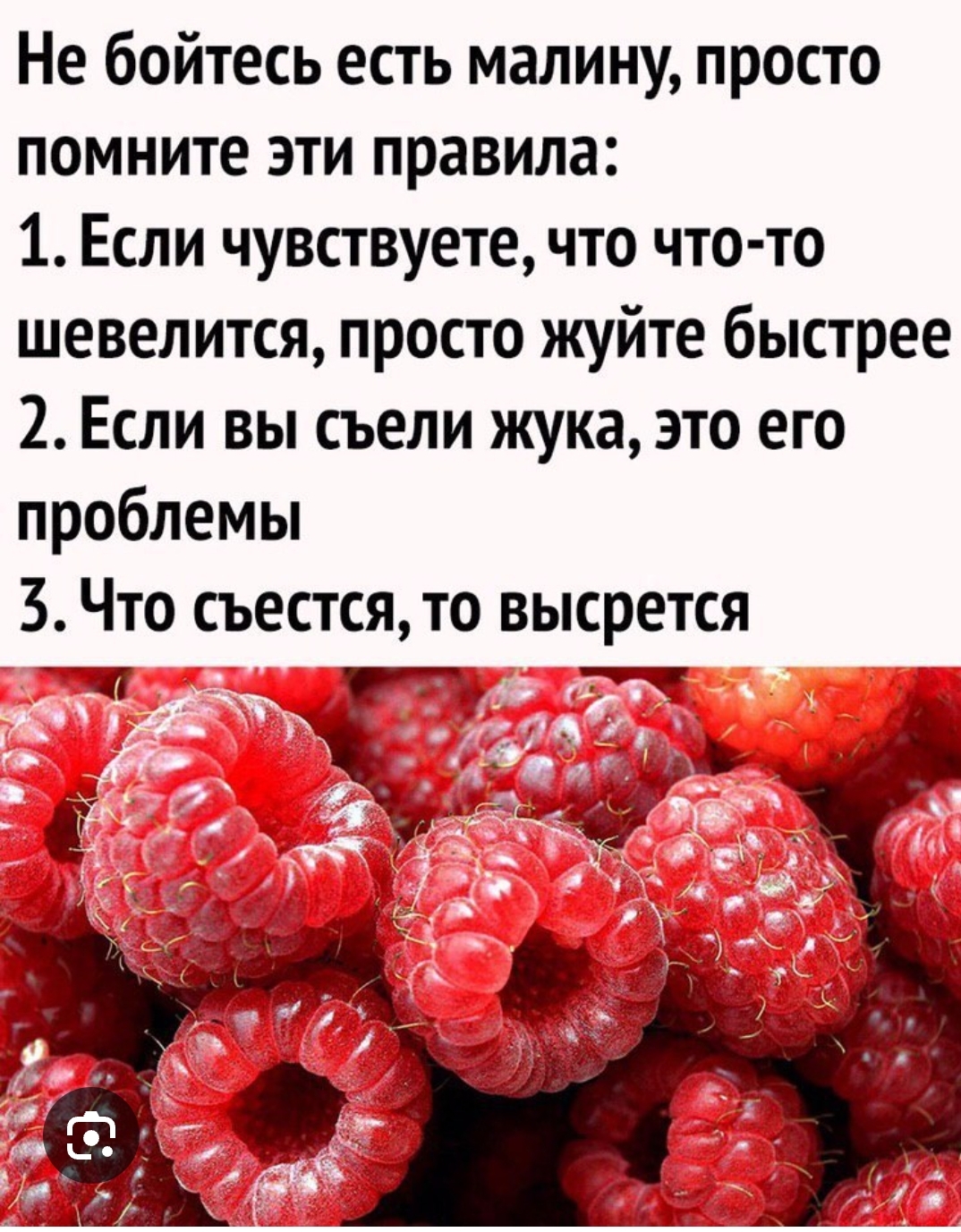 Кто съест больше?! - Бодибилдинг форум AnabolicShops