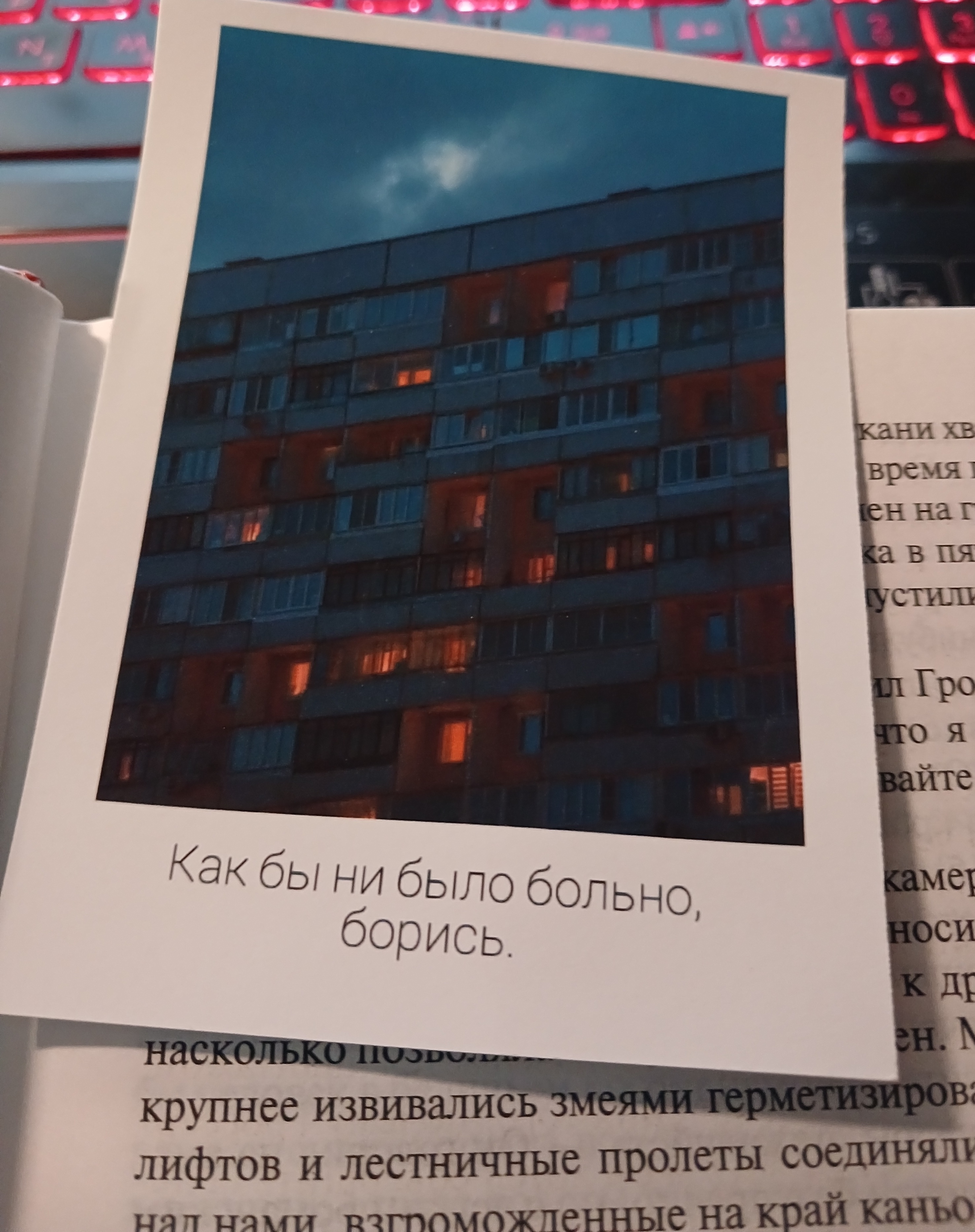Болталка про ЗОЖ - трехсотый пауэрлифтер! - Бодибилдинг форум AnabolicShops