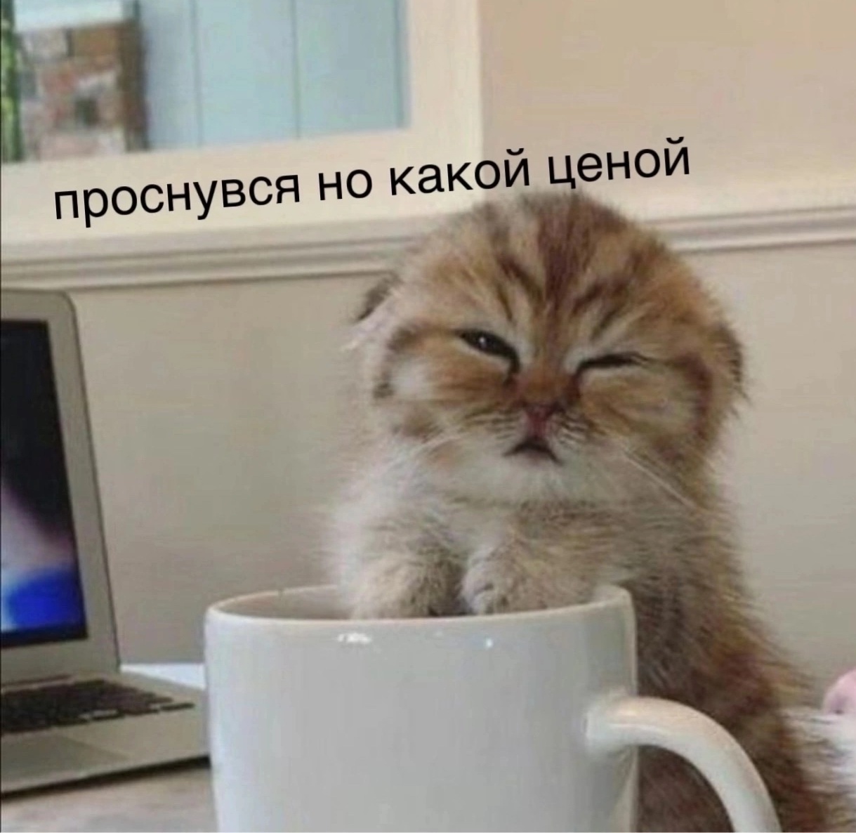 Hilma PRO - с заботой о вашем здоровье! - Бодибилдинг форум AnabolicShops