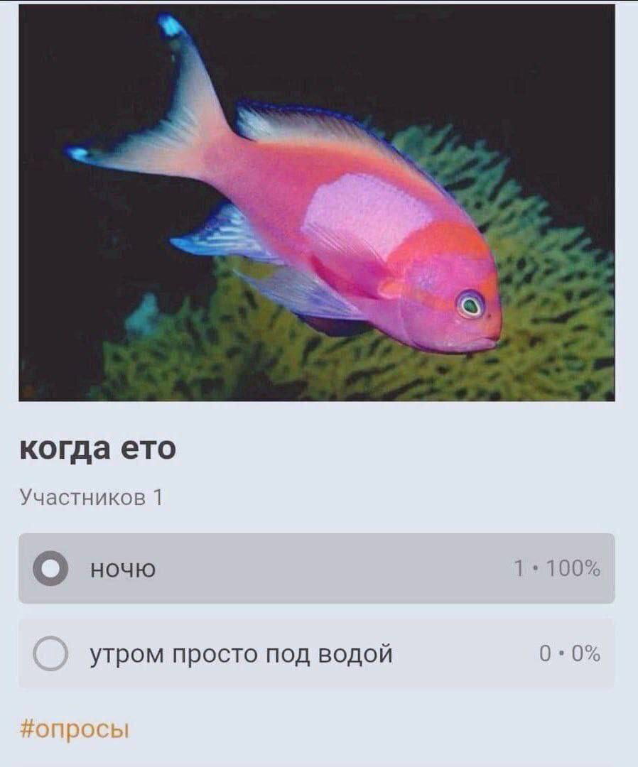 Приколюшные картинки - Бодибилдинг форум AnabolicShops