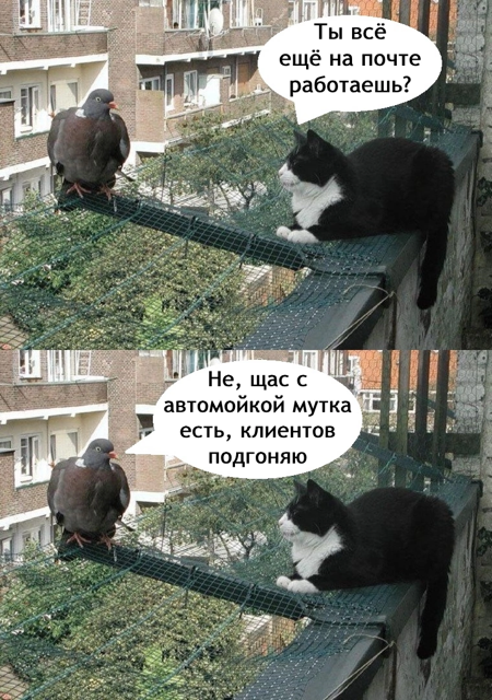Приколюшные картинки - Бодибилдинг форум AnabolicShops