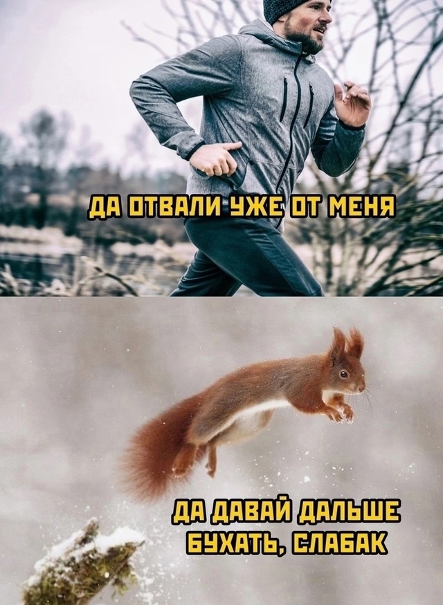 Приколюшные картинки - Бодибилдинг форум AnabolicShops