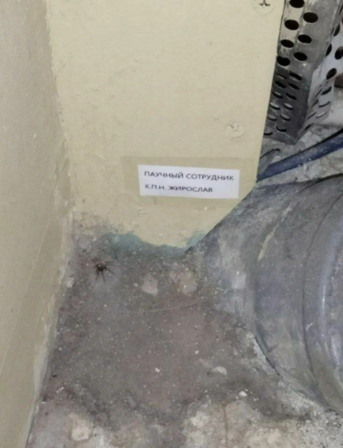 Приколюшные картинки - Бодибилдинг форум AnabolicShops