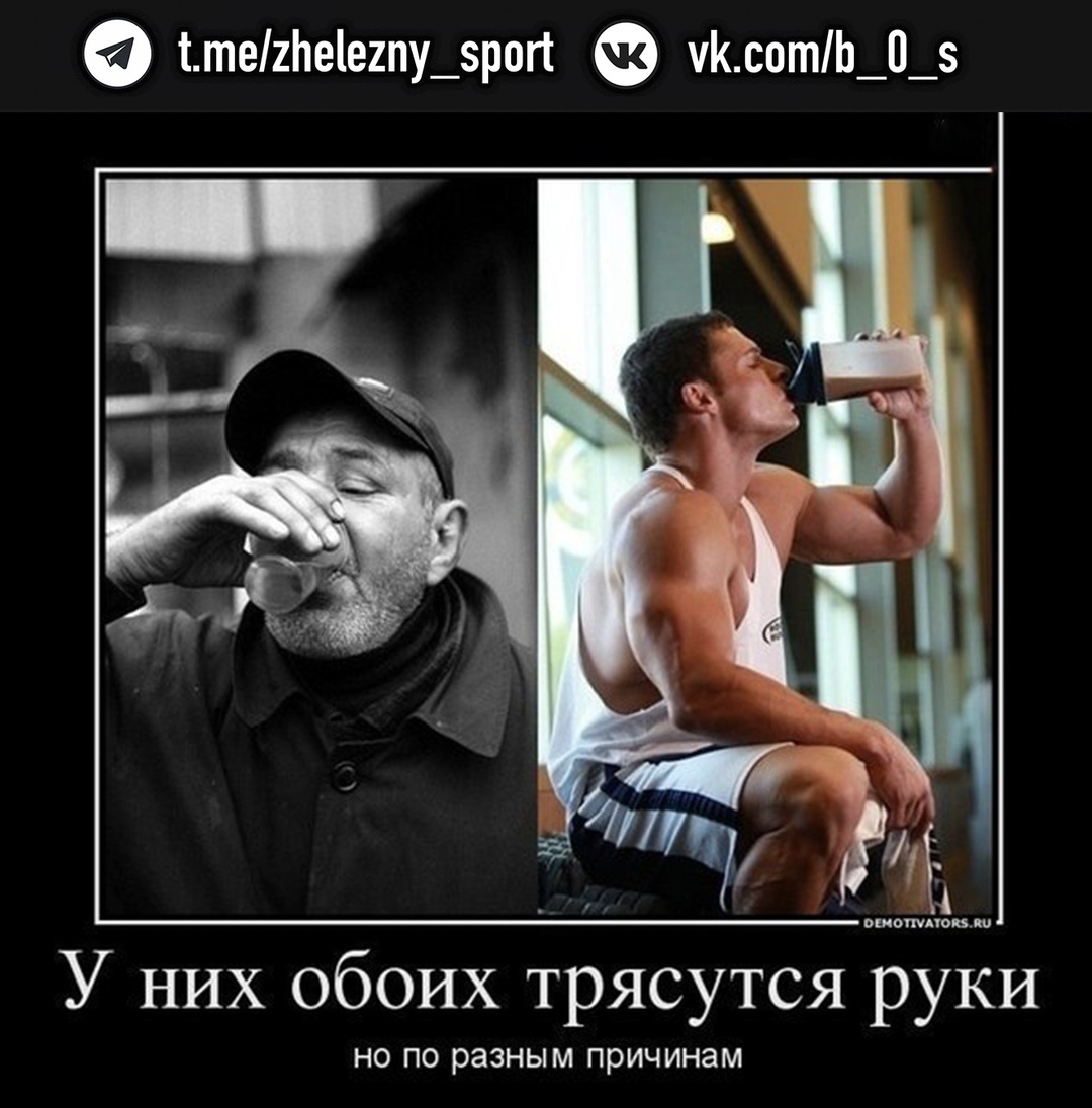 Курилка- разговоры на любые темы - Бодибилдинг форум AnabolicShops