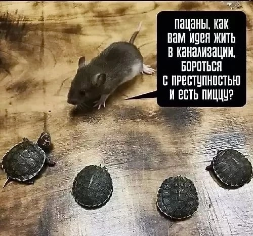 Приколюшные картинки - Бодибилдинг форум AnabolicShops
