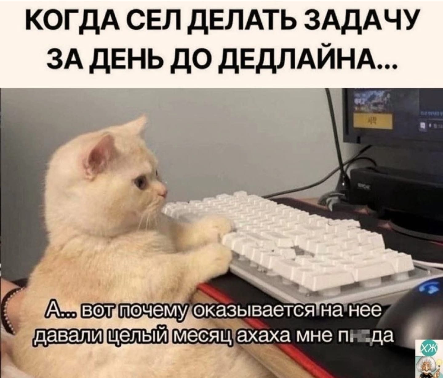 Приколюшные картинки - Бодибилдинг форум AnabolicShops