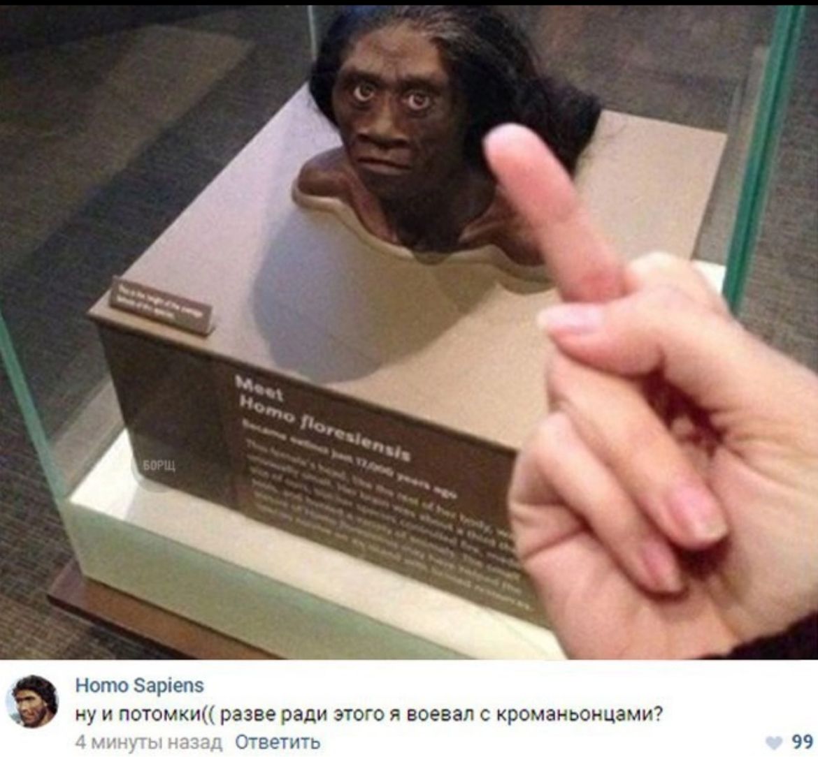Приколюшные картинки - Бодибилдинг форум AnabolicShops