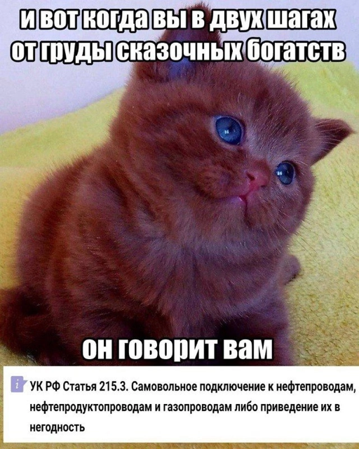Приколюшные картинки - Бодибилдинг форум AnabolicShops