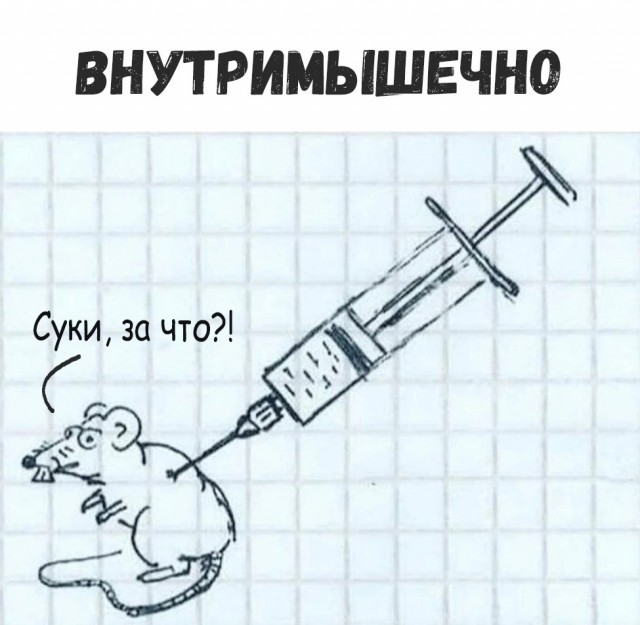 Курилка- разговоры на любые темы - Бодибилдинг форум AnabolicShops