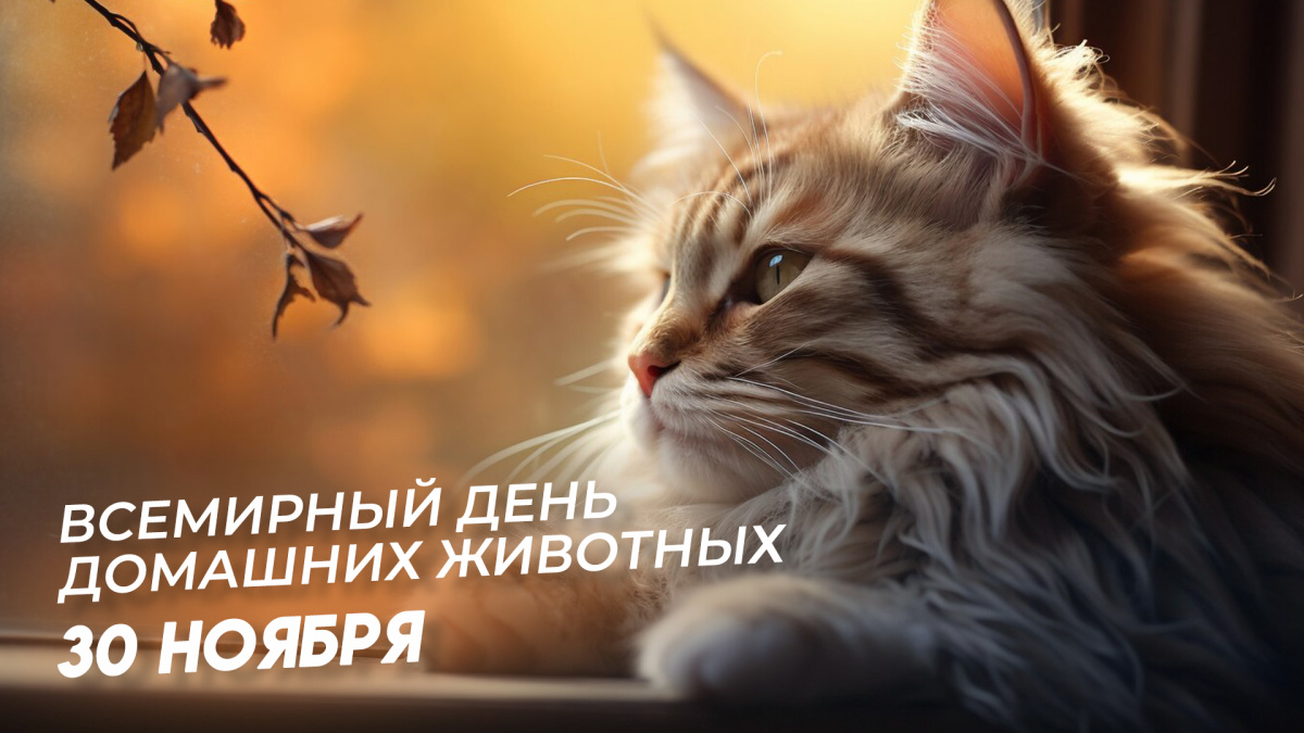 Мои домашние питомцы - Бодибилдинг форум AnabolicShops