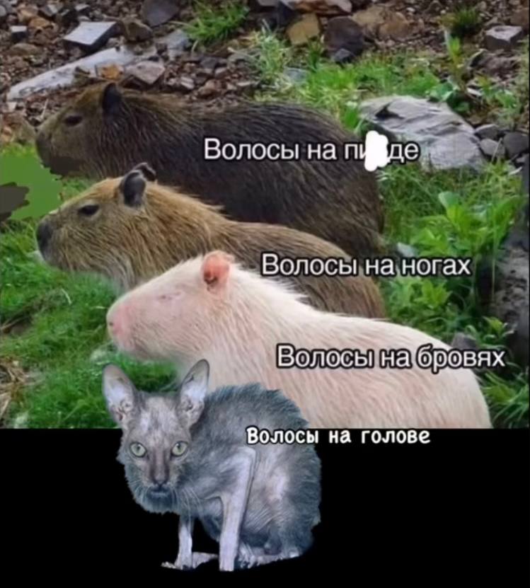 Приколюшные картинки - Бодибилдинг форум AnabolicShops