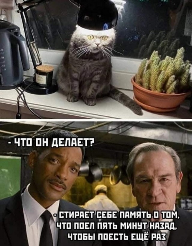 Приколюшные картинки - Бодибилдинг форум AnabolicShops
