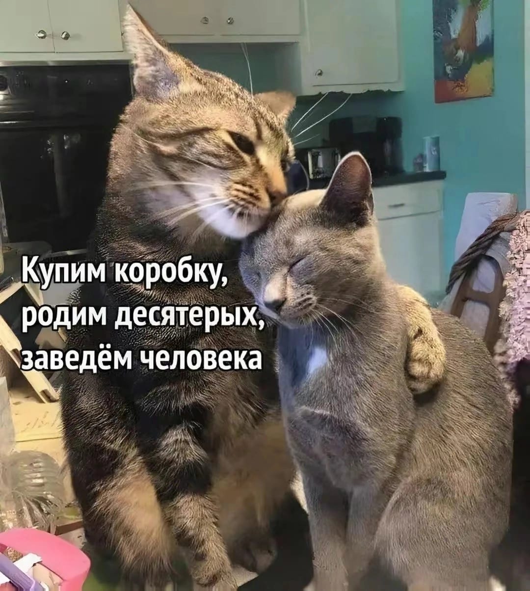Приколюшные картинки - Бодибилдинг форум AnabolicShops