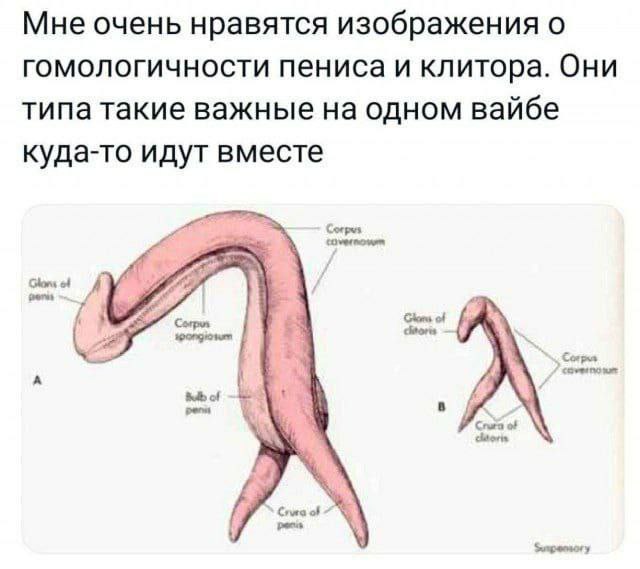 Приколюшные картинки - Бодибилдинг форум AnabolicShops