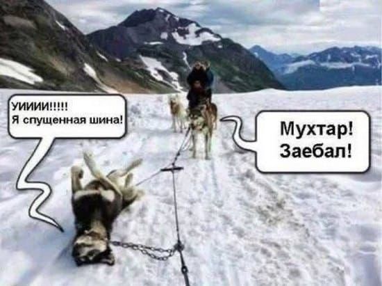 Приколюшные картинки - Бодибилдинг форум AnabolicShops
