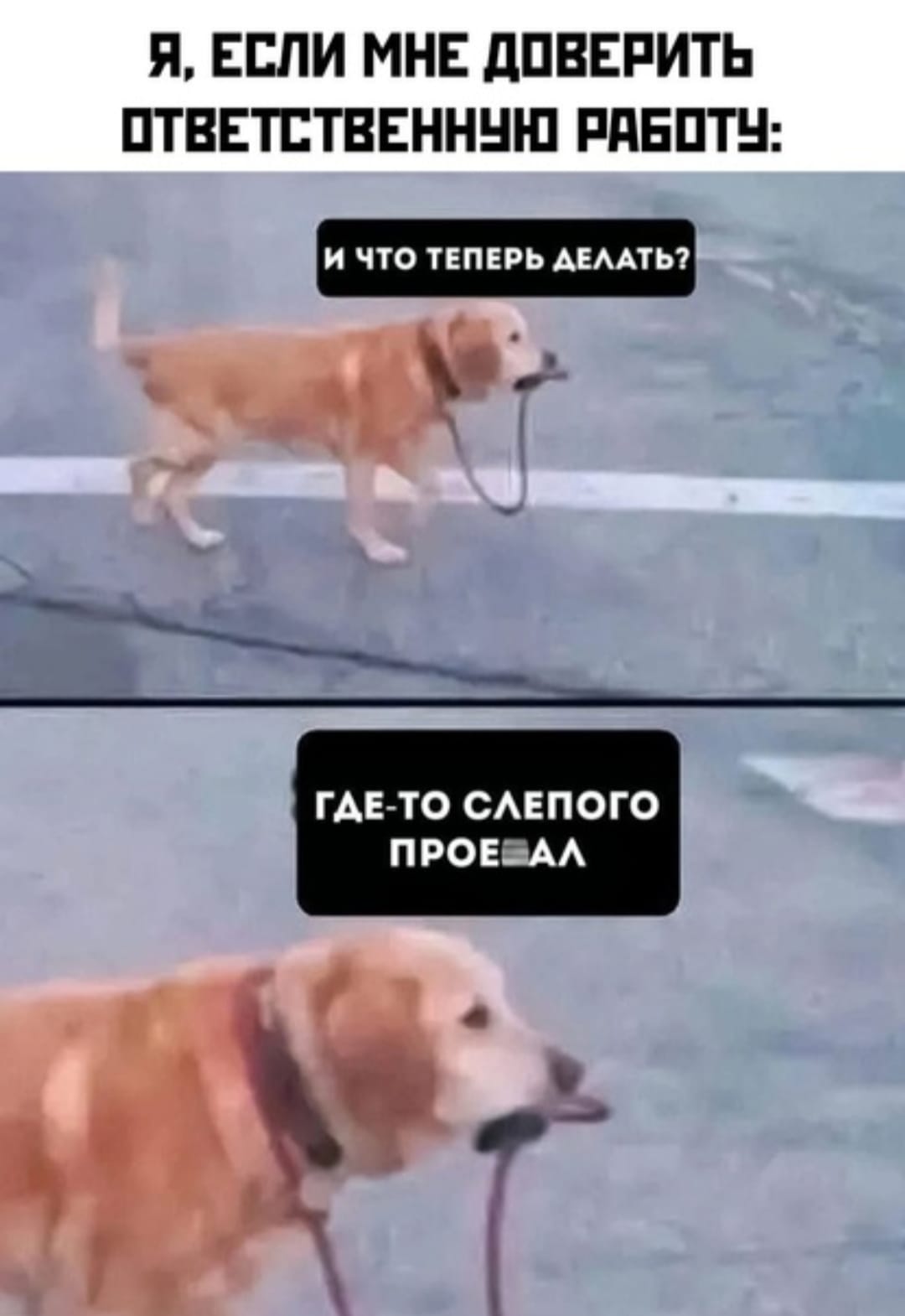Приколюшные картинки - Бодибилдинг форум AnabolicShops