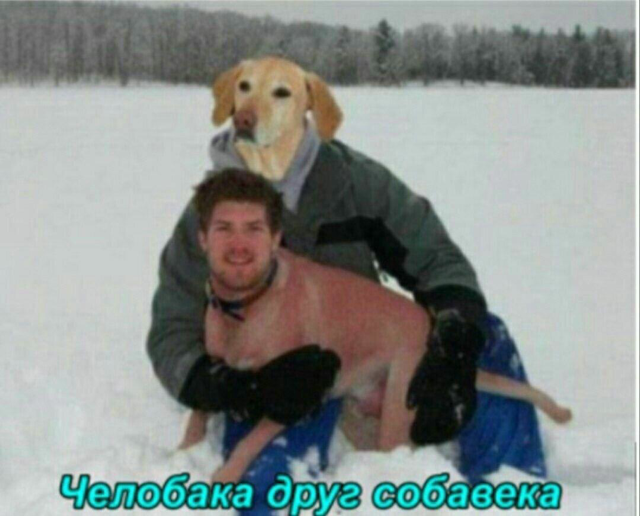 Приколюшные картинки - Бодибилдинг форум AnabolicShops