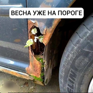 Приколюшные картинки - Бодибилдинг форум AnabolicShops