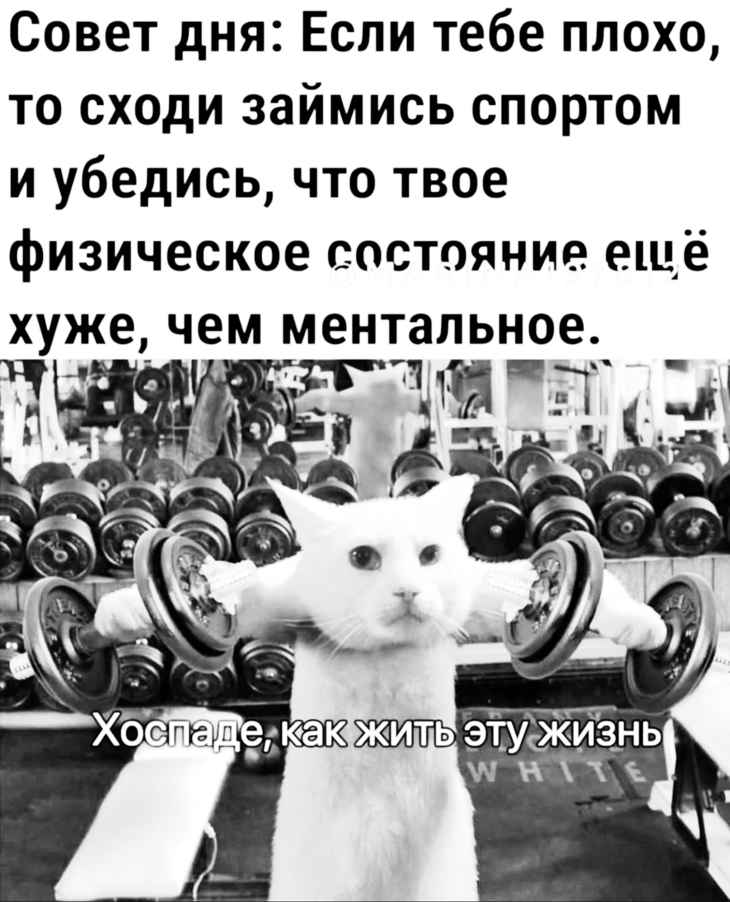 Силовое поздравление! - Бодибилдинг форум AnabolicShops