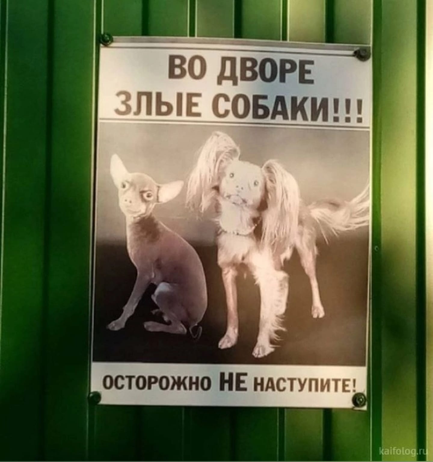 Приколюшные картинки - Бодибилдинг форум AnabolicShops