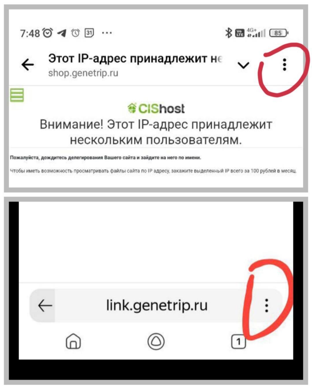 Genetrip Market - Всё для потенции, секса и пкт! - Бодибилдинг форум AnabolicShops