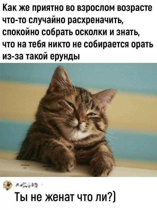 Приколюшные картинки - Бодибилдинг форум AnabolicShops