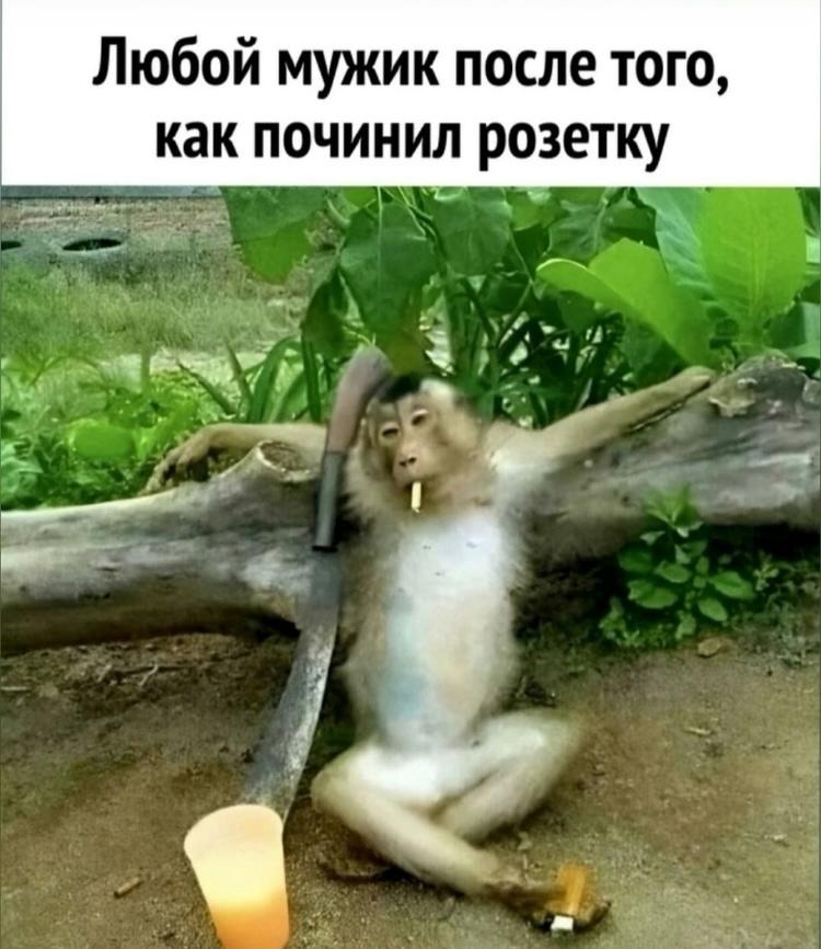 Приколюшные картинки - Бодибилдинг форум AnabolicShops