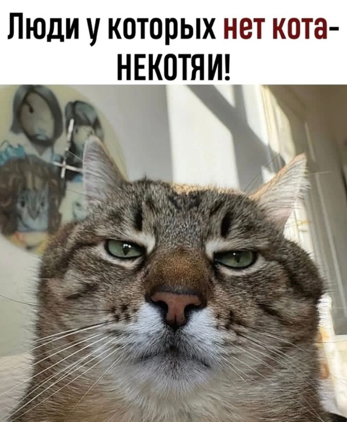 Курилка- разговоры на любые темы - Бодибилдинг форум AnabolicShops