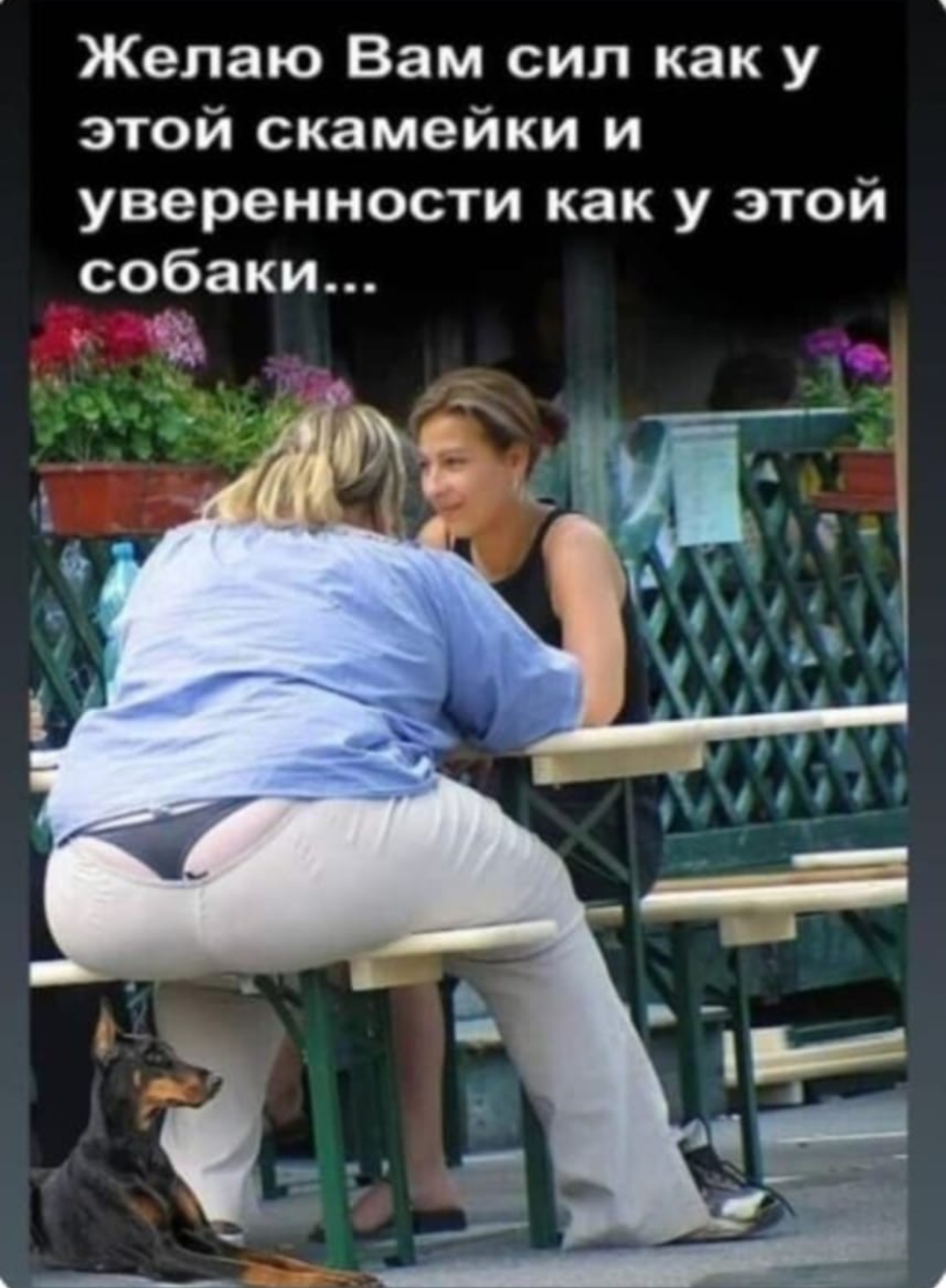 Приколюшные картинки - Бодибилдинг форум AnabolicShops