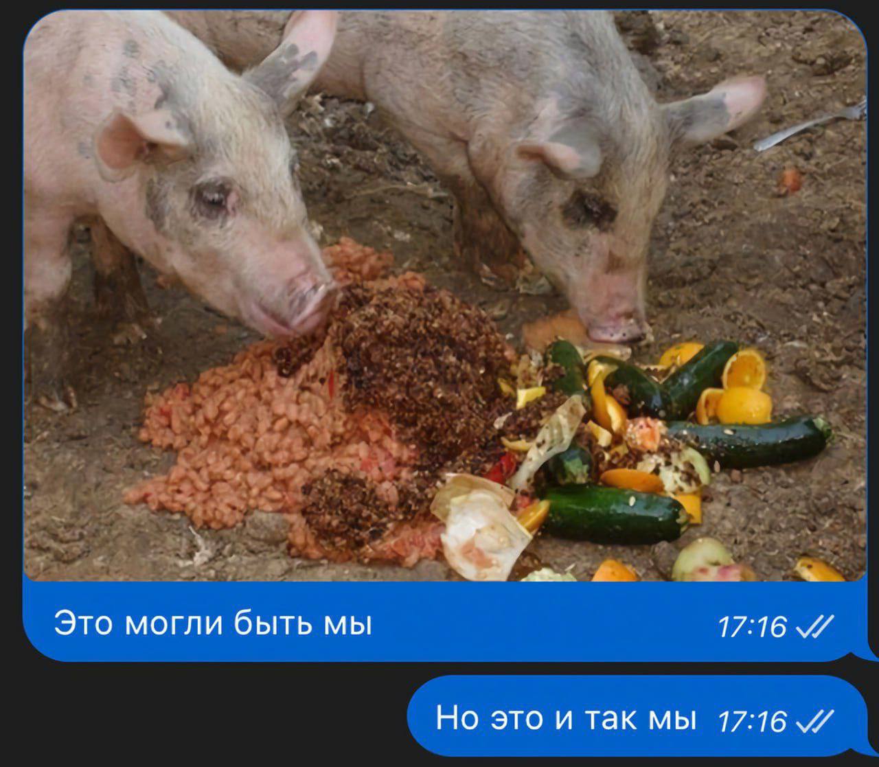 Курилка- разговоры на любые темы - Бодибилдинг форум AnabolicShops