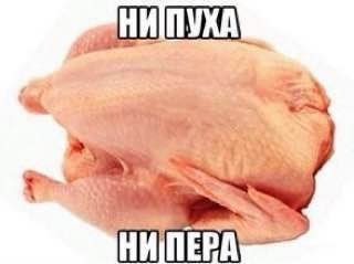 Курилка- разговоры на любые темы - Бодибилдинг форум AnabolicShops