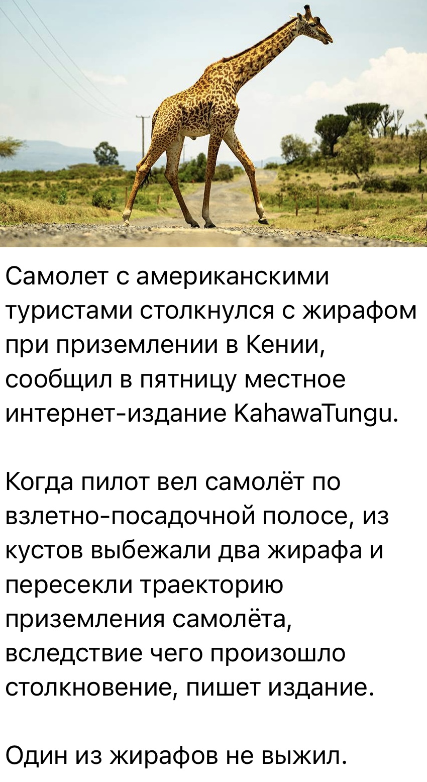 ProjectX - твой надежный поставщик! - Бодибилдинг форум AnabolicShops