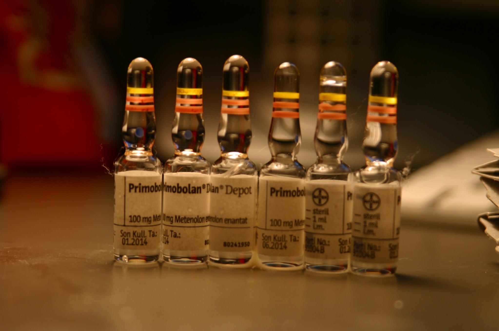 Bayer - Бодибилдинг форум AnabolicShops
