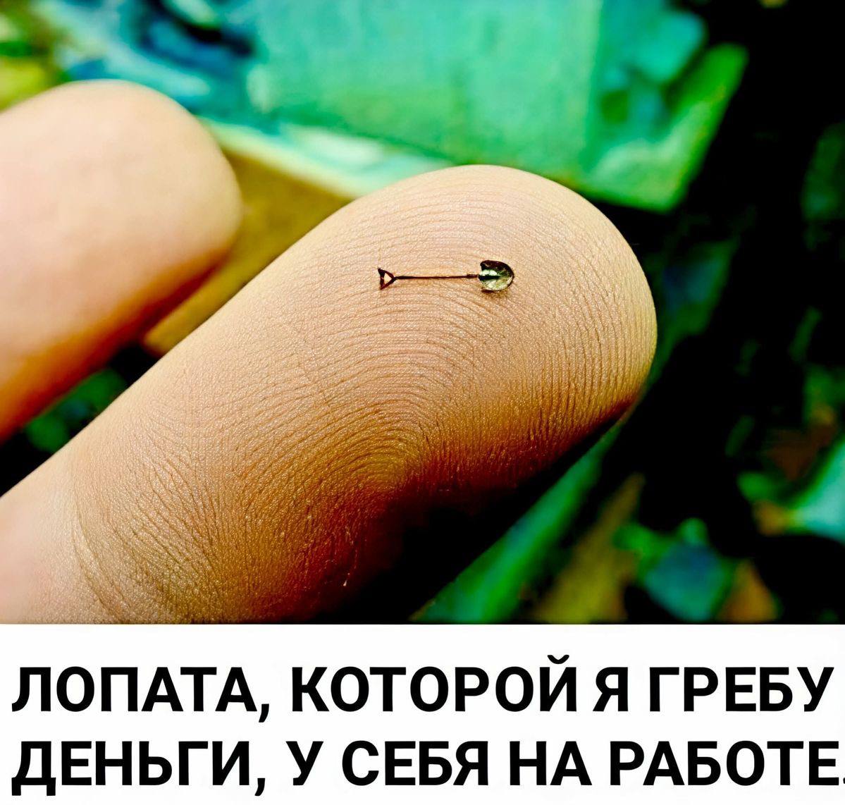 Курилка- разговоры на любые темы - Бодибилдинг форум AnabolicShops