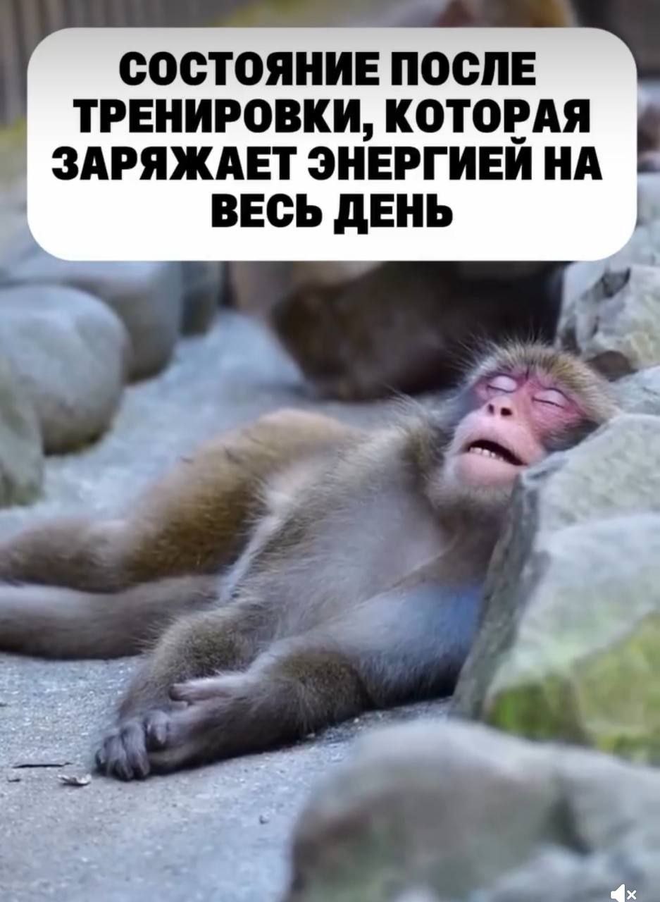 Курилка- разговоры на любые темы - Бодибилдинг форум AnabolicShops