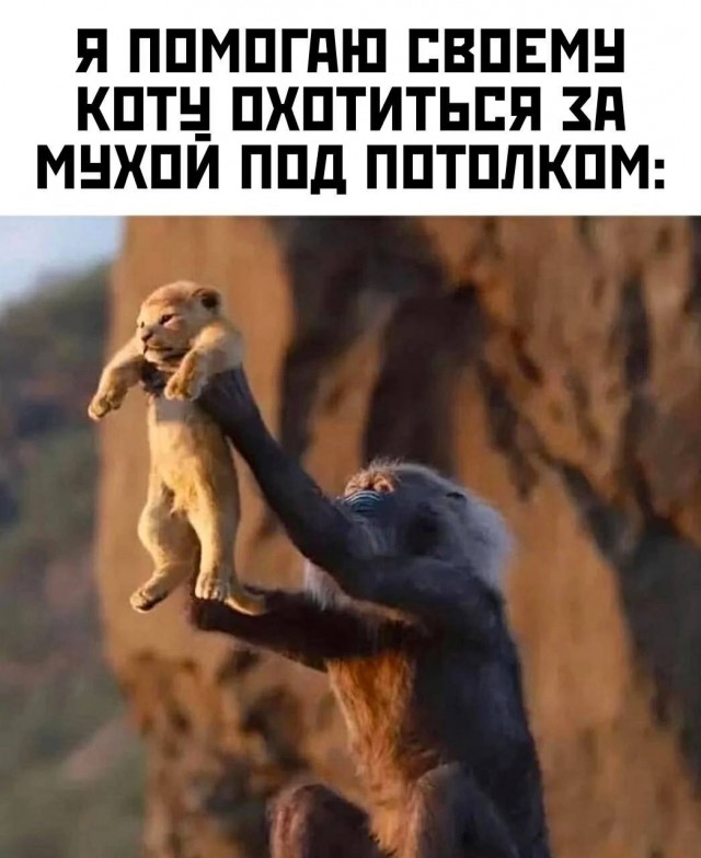 Мои домашние питомцы - Бодибилдинг форум AnabolicShops