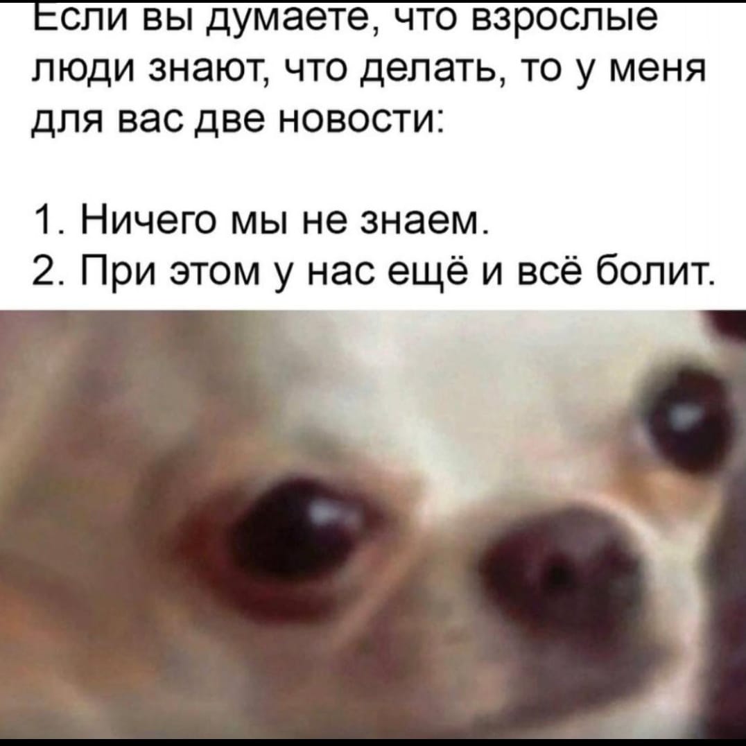 Курилка- разговоры на любые темы - Бодибилдинг форум AnabolicShops