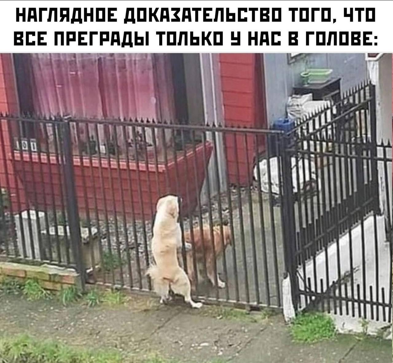Курилка- разговоры на любые темы - Бодибилдинг форум AnabolicShops