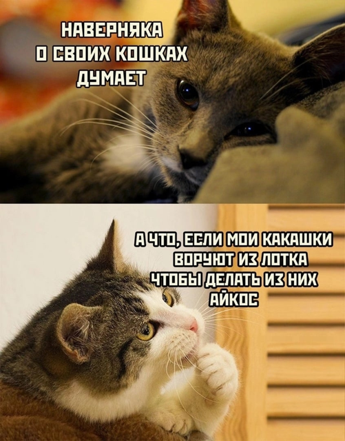 Мои домашние питомцы - Бодибилдинг форум AnabolicShops