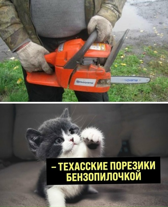 Мои домашние питомцы - Бодибилдинг форум AnabolicShops