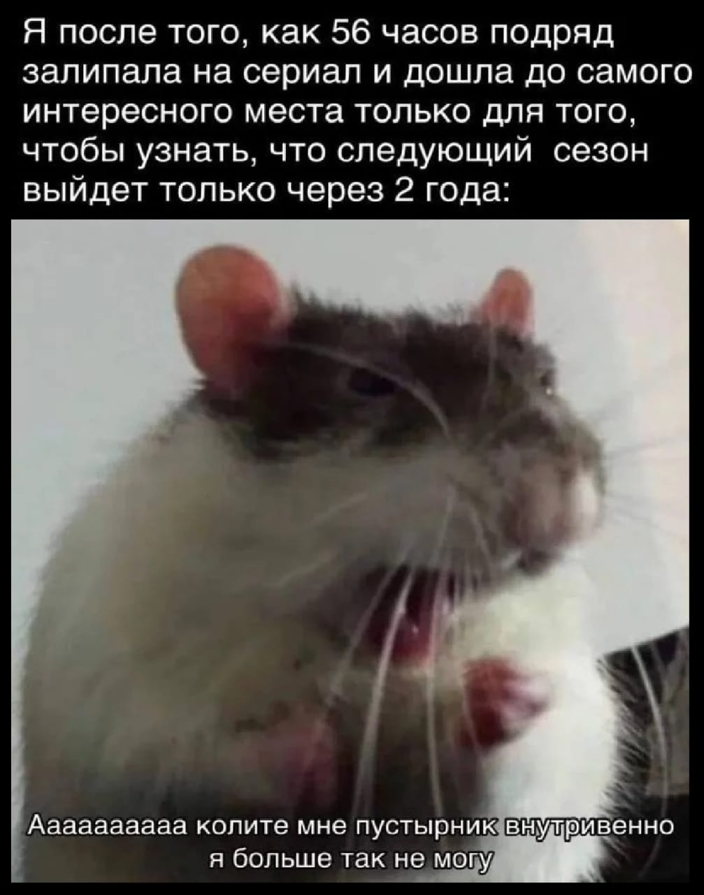 Фильмы (рекомендации,мнения,критика) - Бодибилдинг форум AnabolicShops