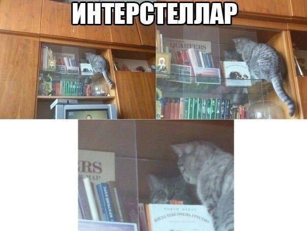 Курилка- разговоры на любые темы - Бодибилдинг форум AnabolicShops