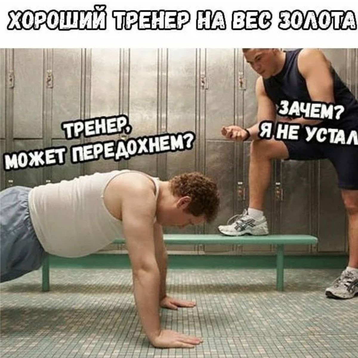 Hilma PRO - с заботой о вашем здоровье! - Бодибилдинг форум AnabolicShops
