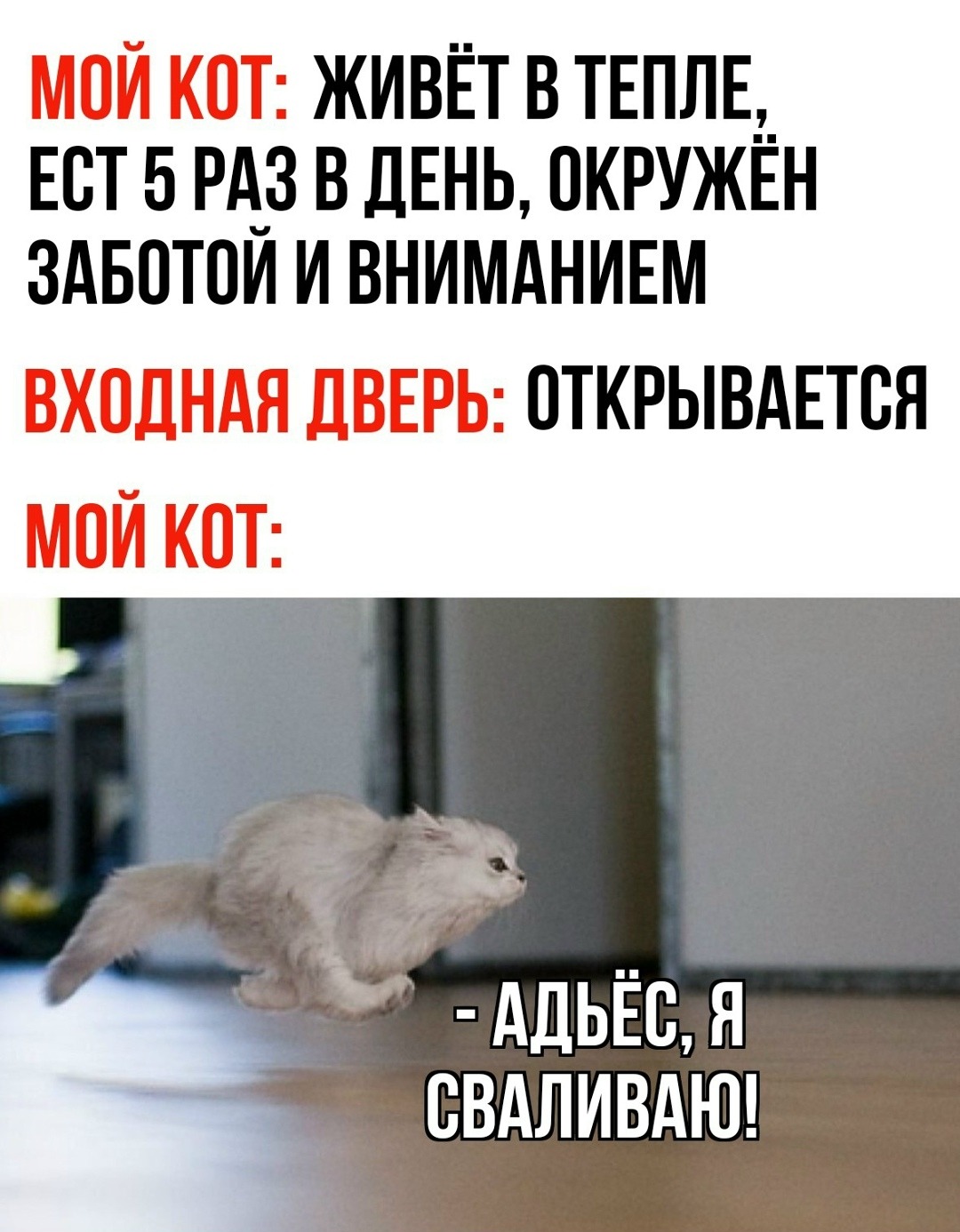 Курилка- разговоры на любые темы - Бодибилдинг форум AnabolicShops
