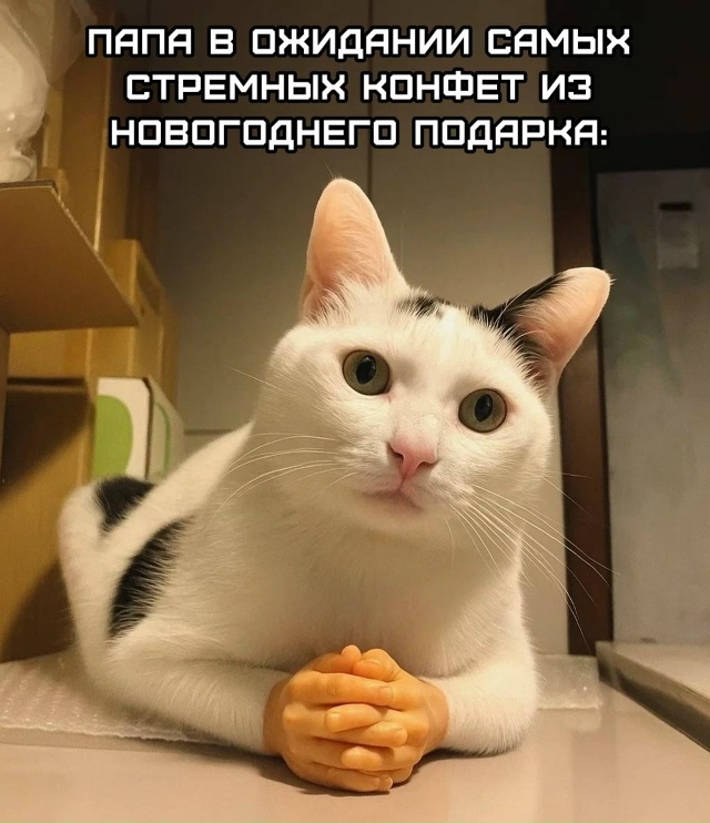 Курилка- разговоры на любые темы - Бодибилдинг форум AnabolicShops
