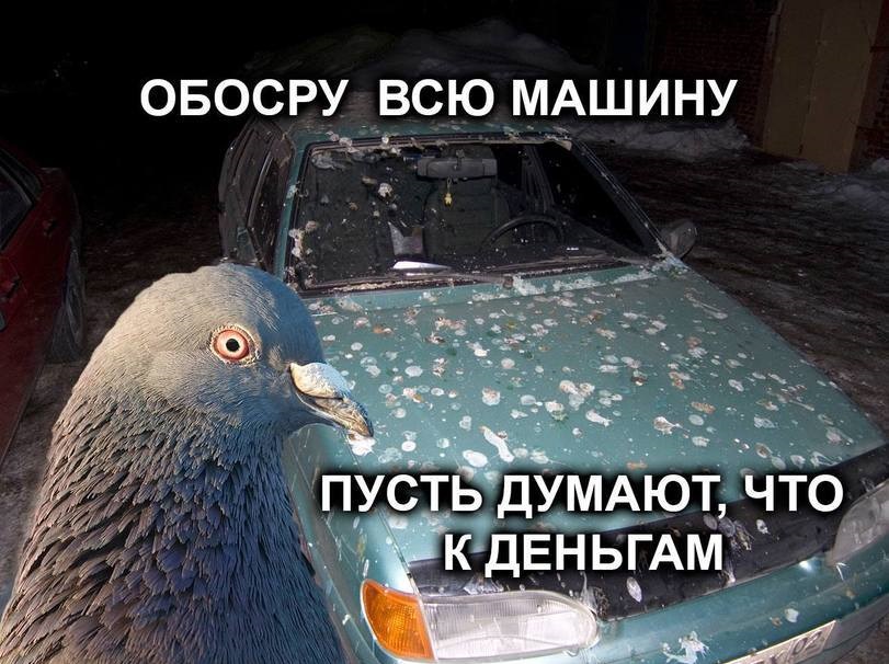 Thomas&Co - Медицинское качество. - Бодибилдинг форум AnabolicShops