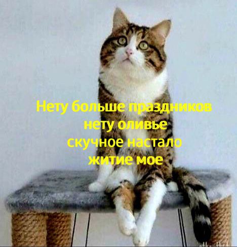 Курилка- разговоры на любые темы - Бодибилдинг форум AnabolicShops
