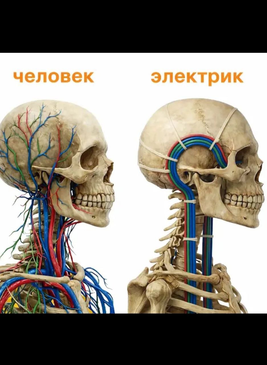 Курилка- разговоры на любые темы - Бодибилдинг форум AnabolicShops