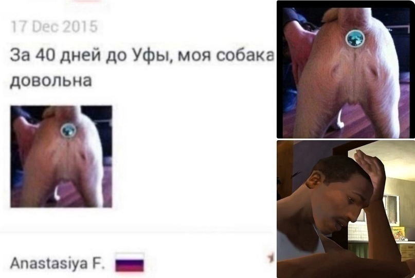 Курилка- разговоры на любые темы - Бодибилдинг форум AnabolicShops