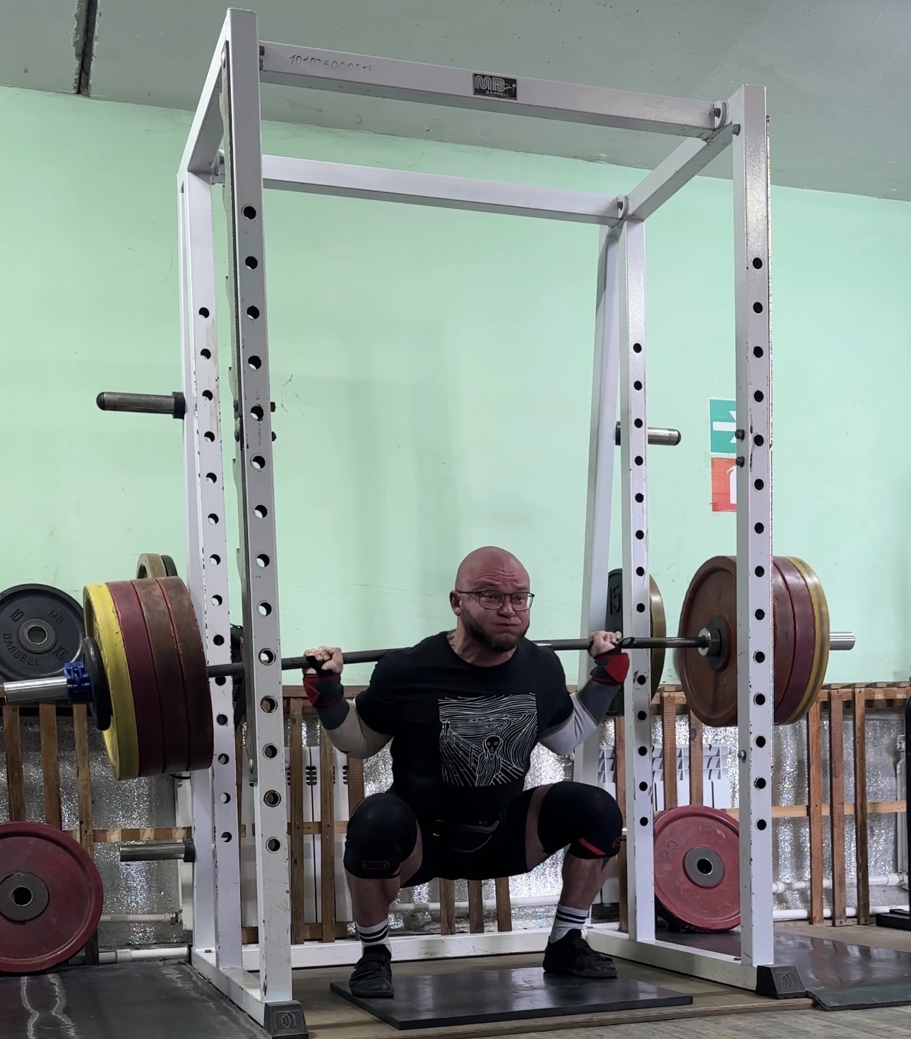 RoidTeam - Дистрибьютор Hilma Biocare и HGH Marten в России - Бодибилдинг форум AnabolicShops